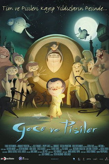 Gece ve Pisiler