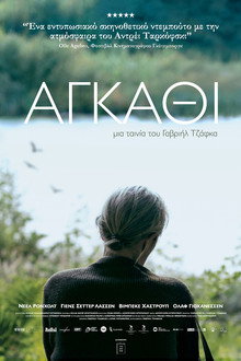 Αγκάθι