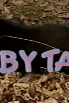 Baby Talk