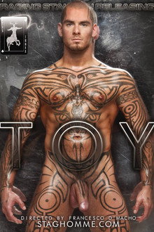 Toy