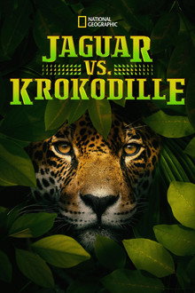 Jaguar vs. Krokodille