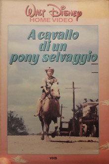 A Cavallo di un Pony Selvaggio