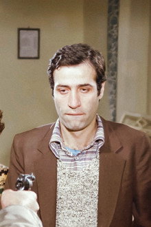 Meraklı Köfteci