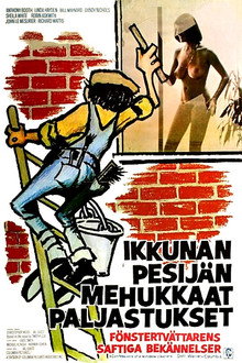 Confessions of a Window Cleaner