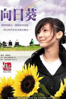 Sun Flowers