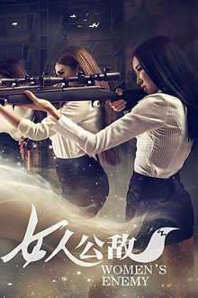 女人公敌