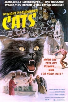 Poster do filme The Night of a Thousand Cats