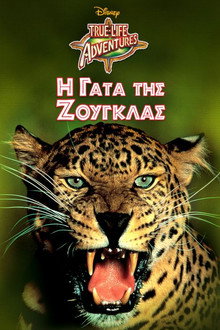 Η Γάτα της Ζούγκλας