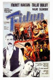 Poster do filme Fidan