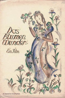Das Blumenwunder