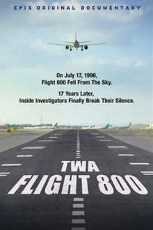 Poster do filme TWA Flight 800