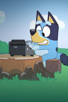Bluey Compilations
