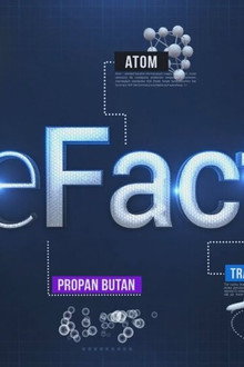 DeFacto