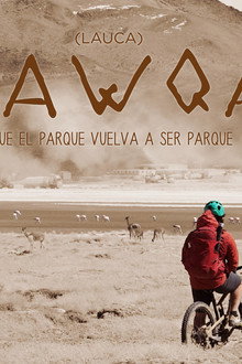 Lawqa