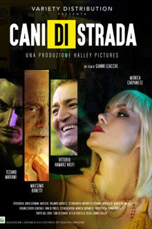 Cani di strada