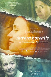 Aurora Borealis: Luminile Nordului