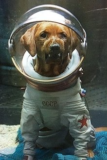 Photo of Fred
