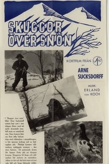 Poster do filme Shadows on the Snow