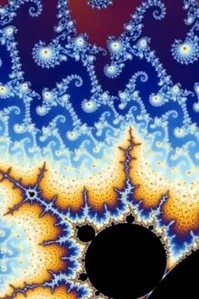 Fractals-Hunting-the-Hidden-Dimension