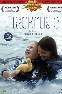Les oiseaux de passage