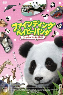 ファインディング ベイビー パンダ くしゃみパンダを探せ!