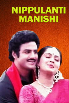 Nippulanti Manishi