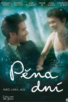 Pěna dní