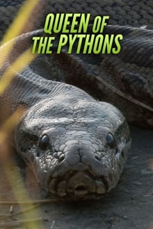 Queen of the Pythons 2019