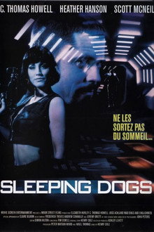 Sleeping Dogs