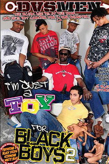 I'm Just A Toy For Black Boys 2