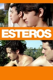 Esteros movie poster