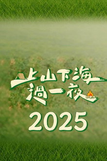 上山下海过一夜（2025）