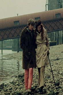 The Walking Stick