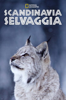 Stagione 1