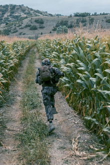 Wolf season 1 episode 3