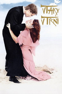 Vtáky v tŕní
