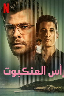 رأس العنكبوت