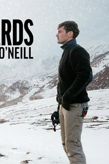 Snow Leopards with Dan O'Neill