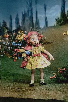 The Story of Little Red Riding Hood