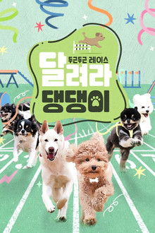 달려라 댕댕이
