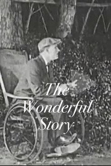 The Wonderful Story