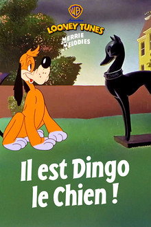 Il est dingo le chien