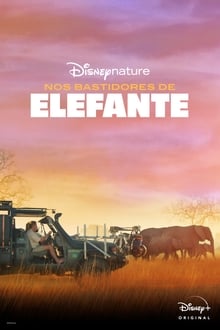 Poster do filme Nos Bastidores de Elefante