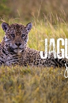 Jaguar-Journals