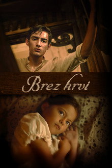 Brez krvi
