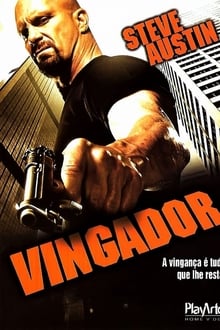 Poster do filme Vingador