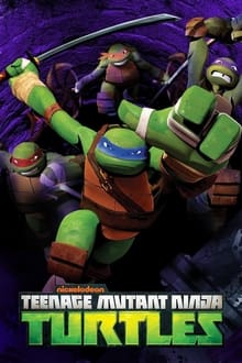 Teenage Mutant Ninja Turtles tv show poster