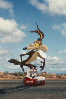 Coyote vs ACME