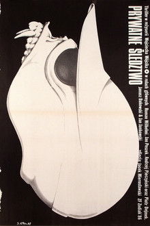 Private investigation