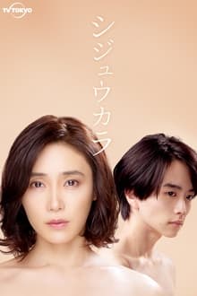 Poster da série シジュウカラ